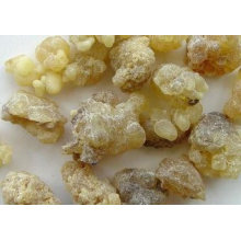 Boswellia Serrata Extract Boswellia Extract